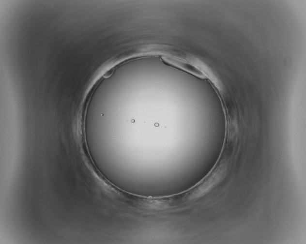 X0000112531101200908241502