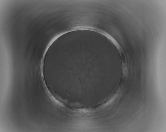 X0000112531102200908241502