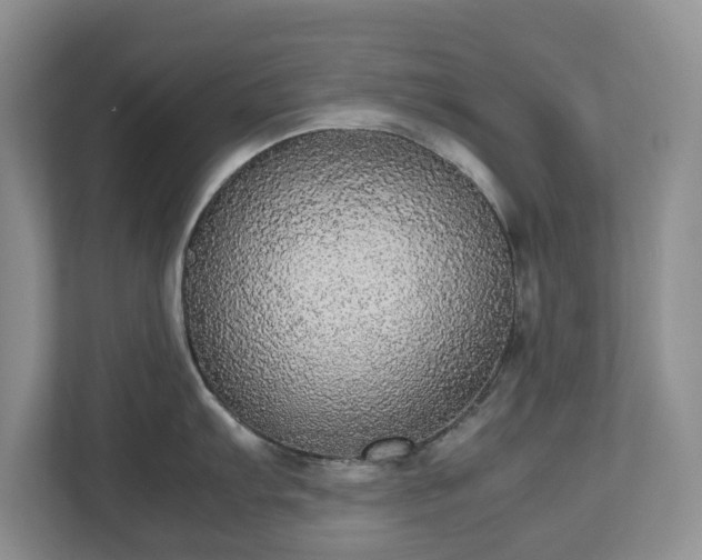 X0000112531103200908241502