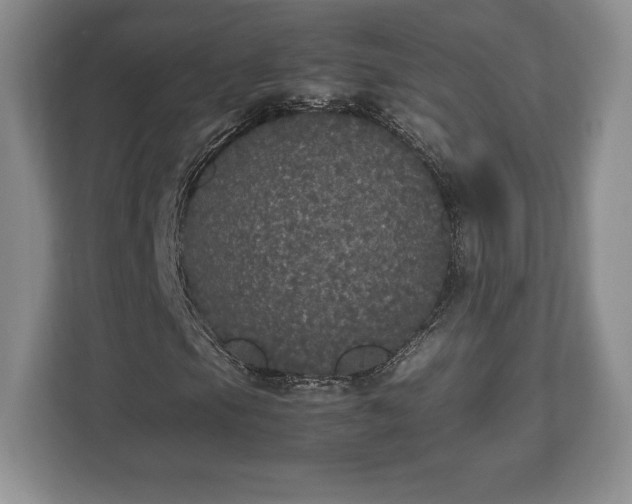 X0000112531105200908241501