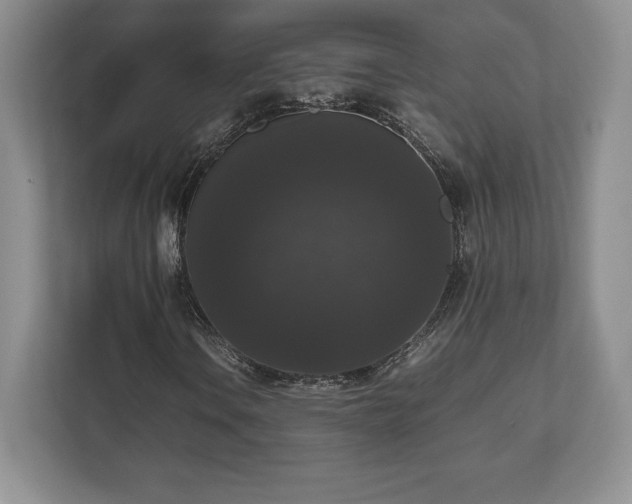 X0000112531106200908241501