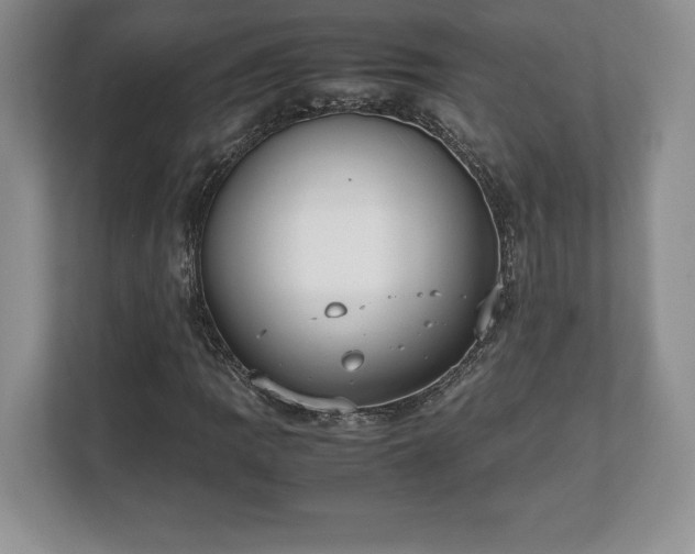X0000112531109200908241501