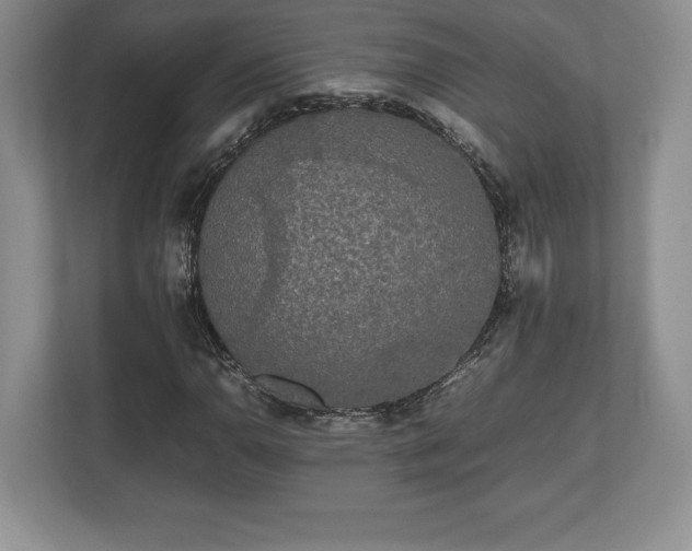 X0000112531110200908241501