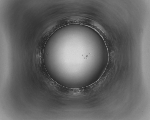 X0000112531111200908241501