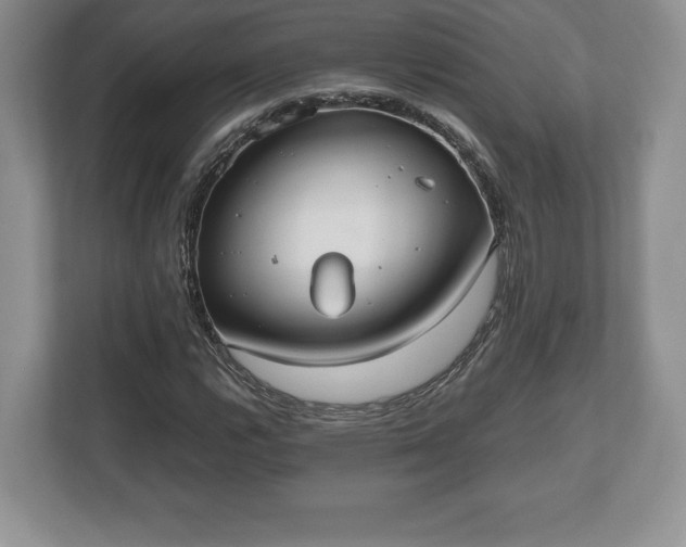 X0000112531112200908241501
