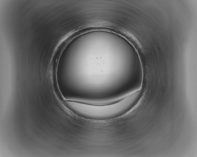 X0000112531114200908241501