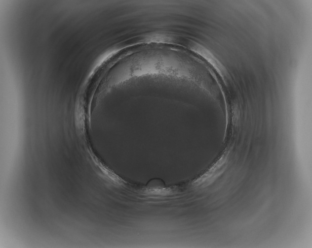 X0000112531115200908241501