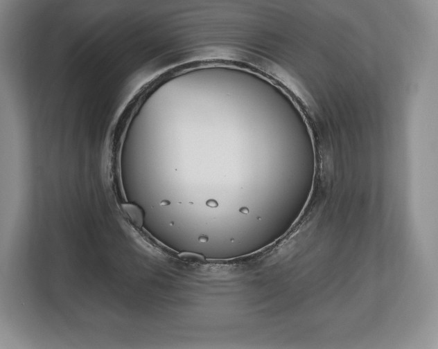 X0000112531116200908241501