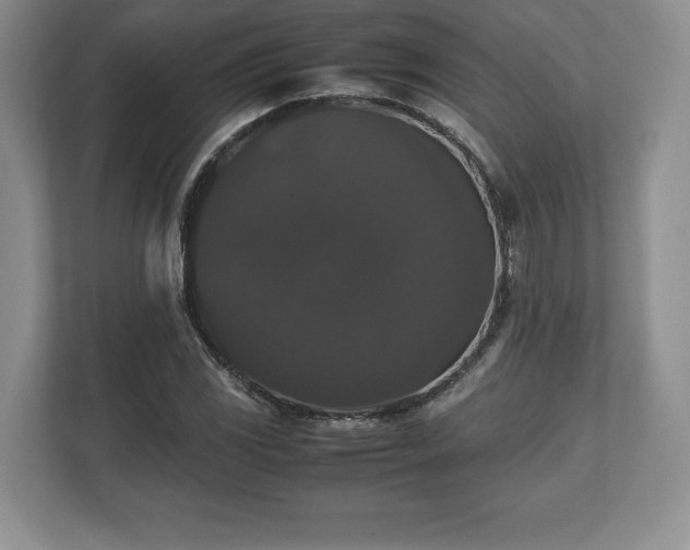 X0000112531117200908241501