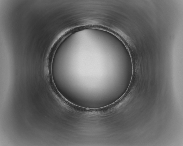 X0000112531118200908241501