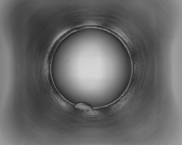 X0000112531119200908241501