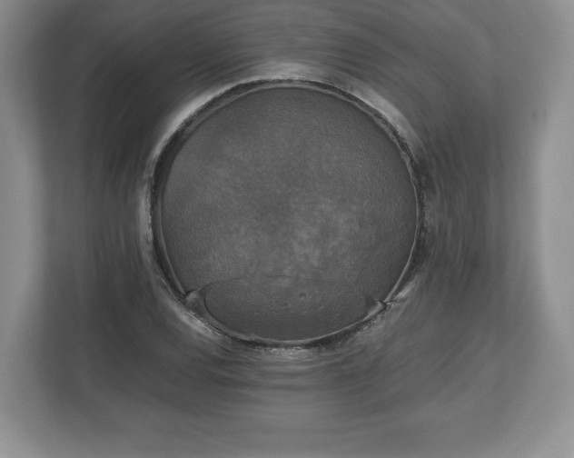 X0000112531120200908241501
