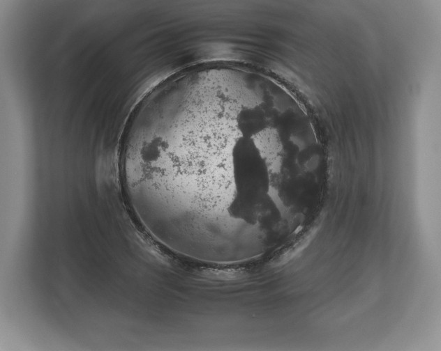 X0000112531121200908241501