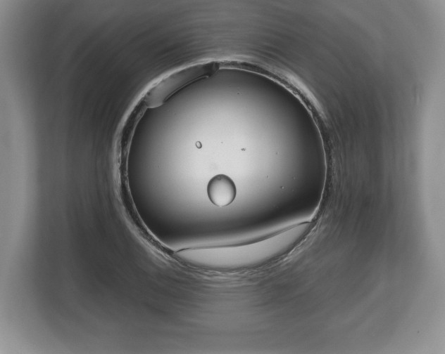 X0000112531124200908241501
