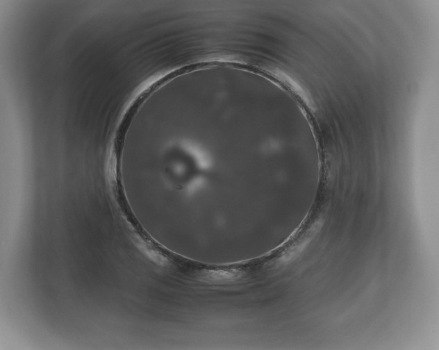 X0000112531125200908241501