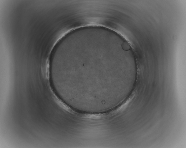 X0000112531126200908241501