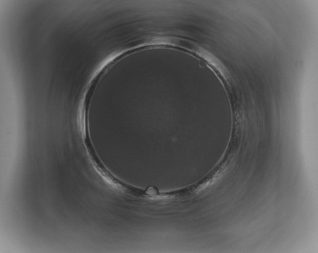 X0000112531127200908241501
