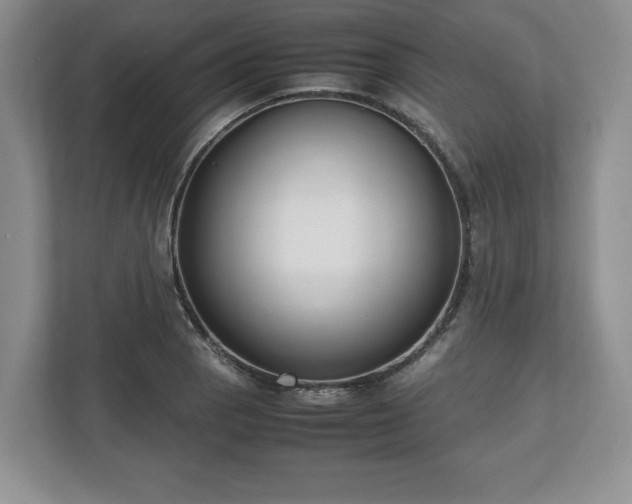 X0000112531129200908241501
