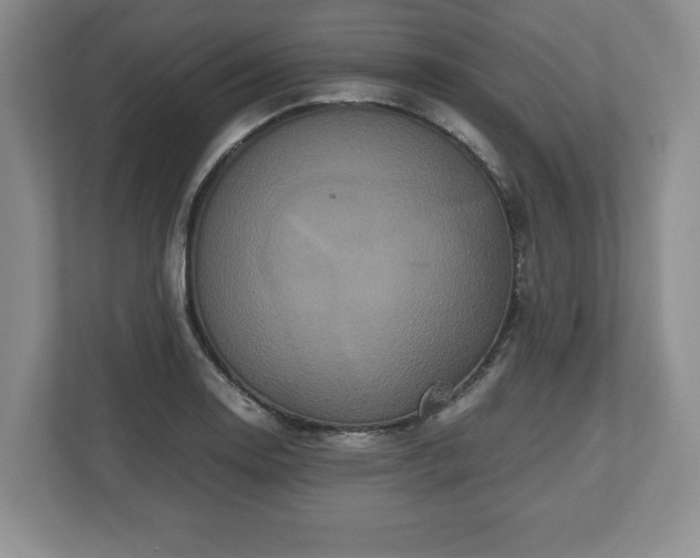 X0000112531130200908241501