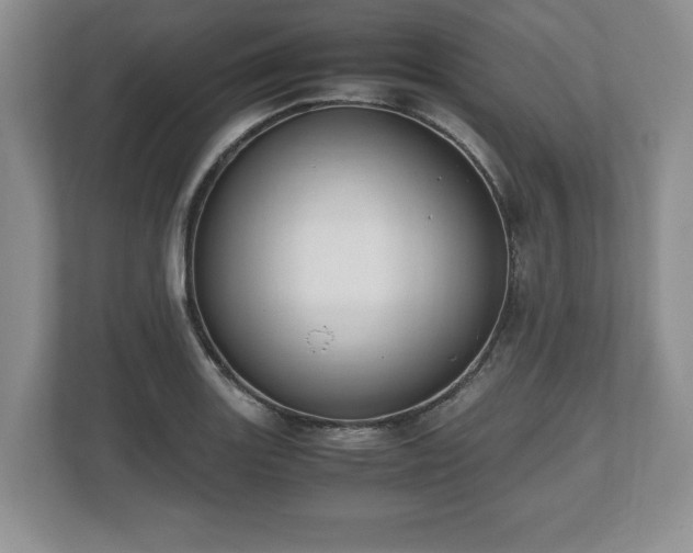 X0000112531131200908241501