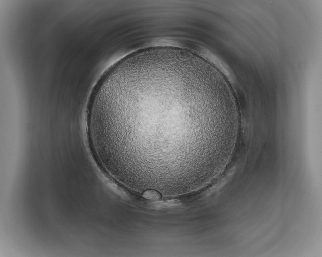 X0000112531133200908241501