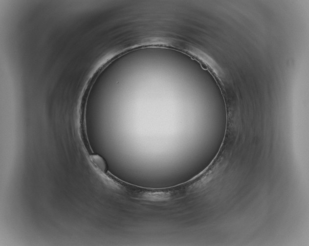 X0000112531135200908241501