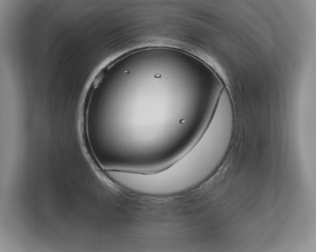X0000112531136200908241501