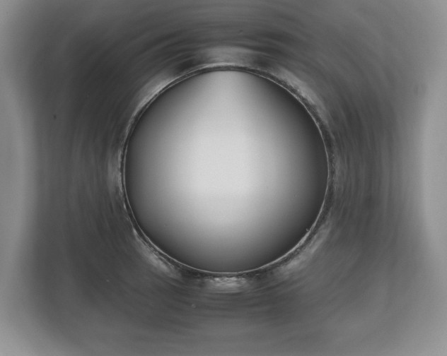 X0000112531137200908241501