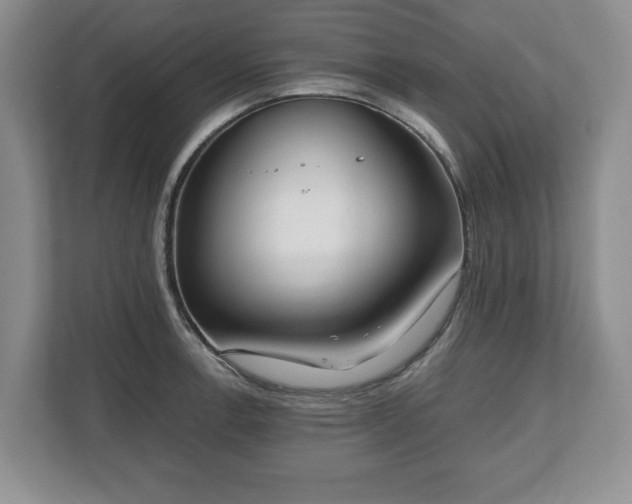 X0000112531138200908241501