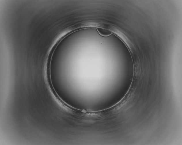 X0000112531139200908241501