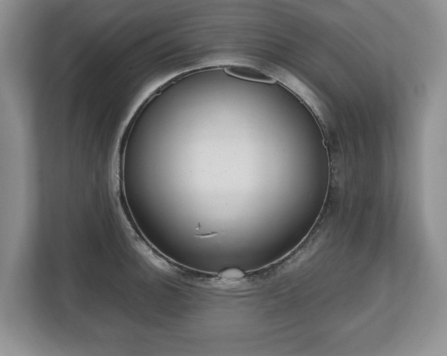 X0000112531140200908241501