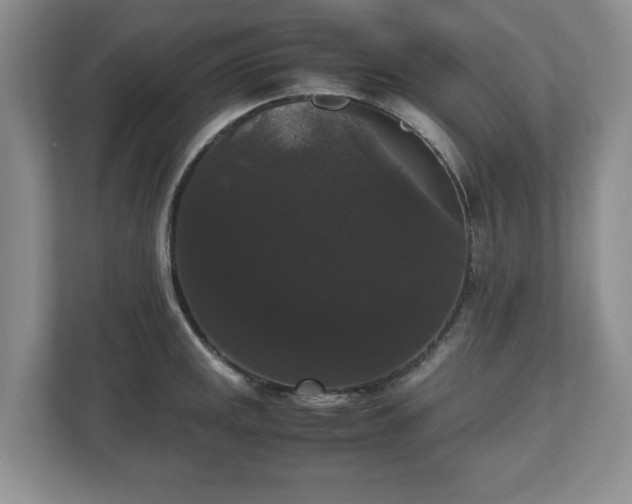 X0000112531141200908241501