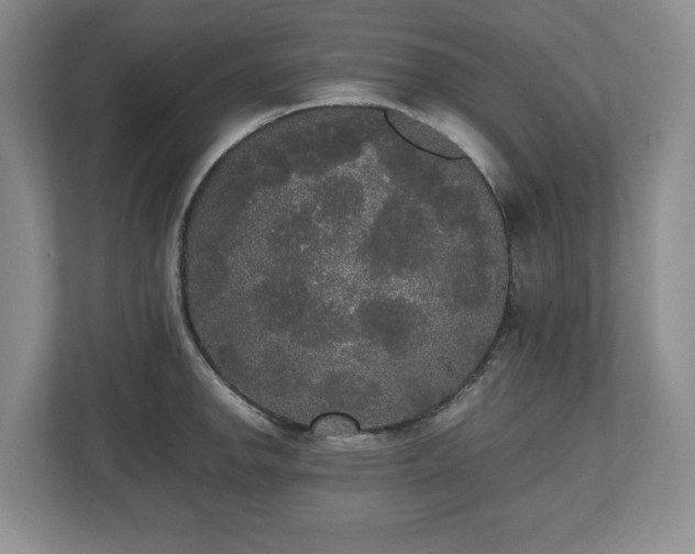 X0000112531142200908241501