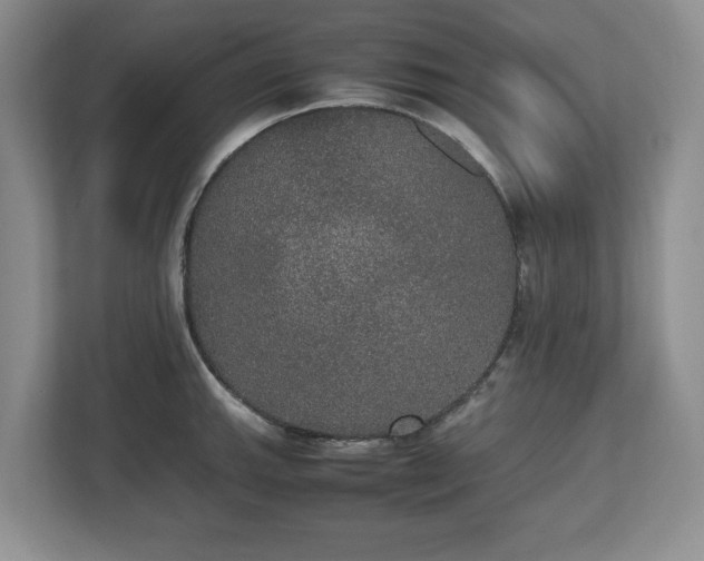 X0000112531143200908241501