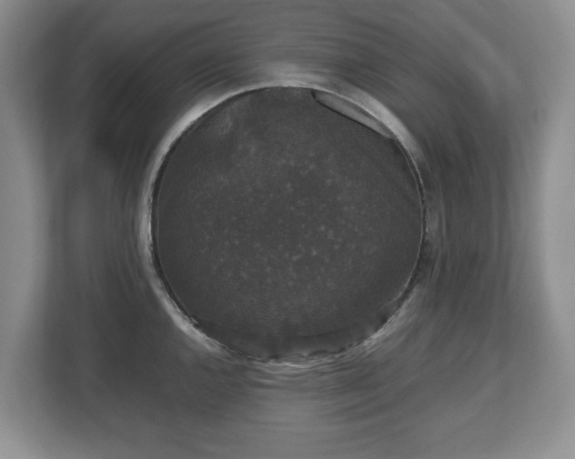 X0000112531144200908241501