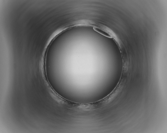 X0000112531146200908241501