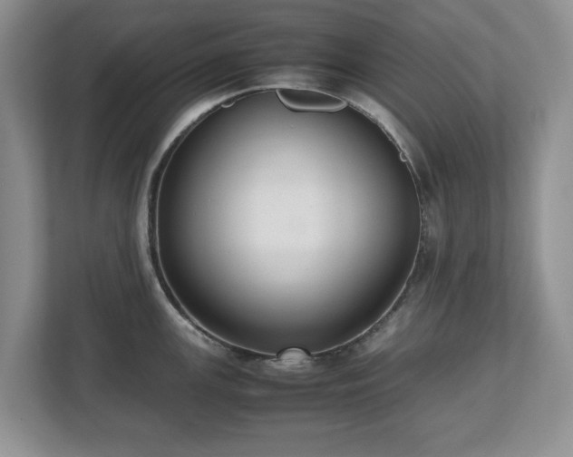 X0000112531147200908241501