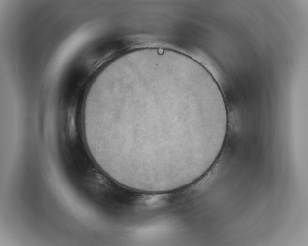 X0000112531150200908241501