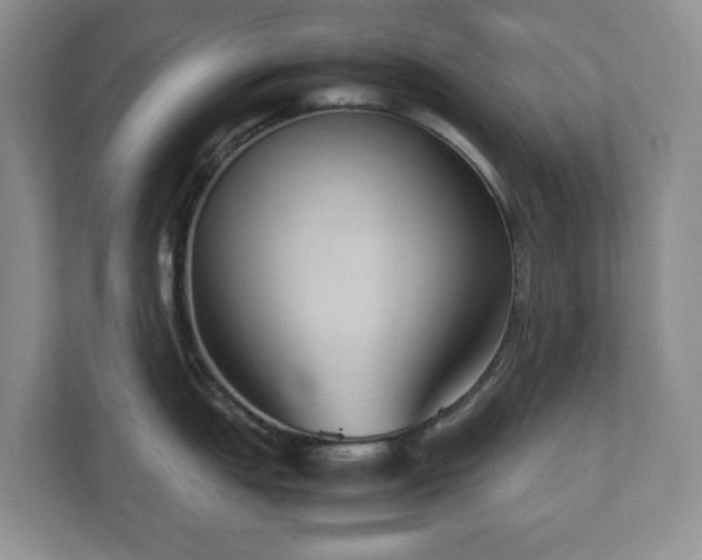 X0000112531151200908241501