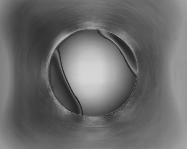 X0000112531152200908241501