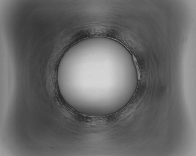 X0000112531153200908241501
