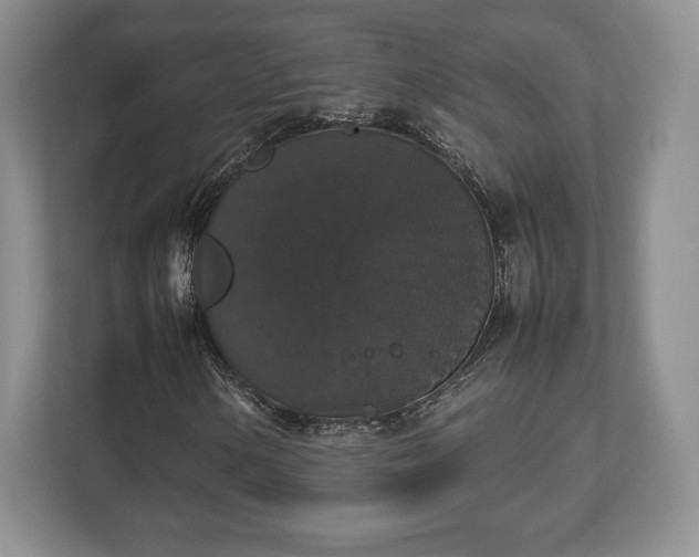 X0000112531154200908241501