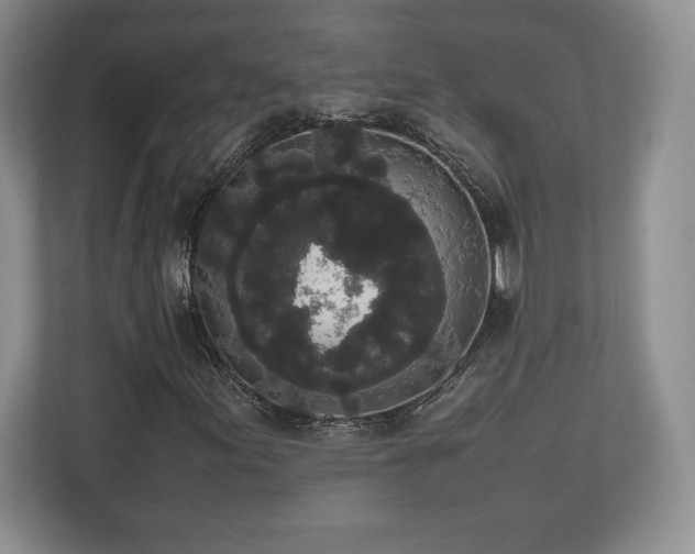 X0000112531155200908241501