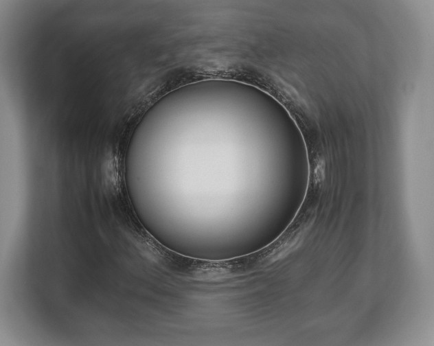 X0000112531156200908241501