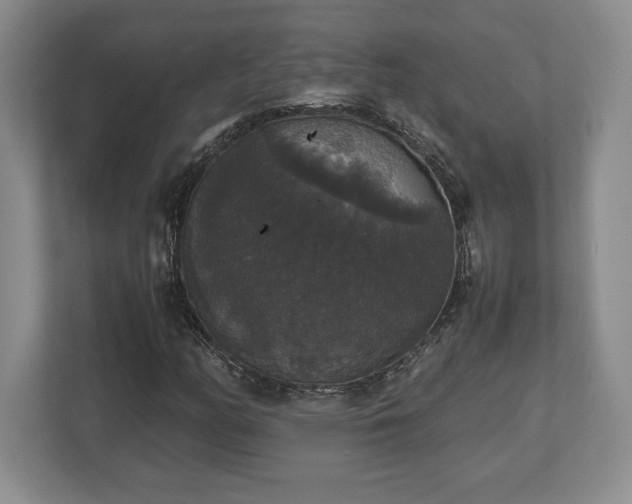 X0000112531158200908241501