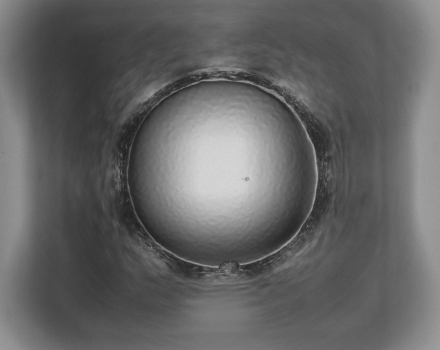 X0000112531159200908241501