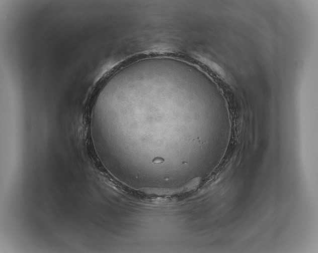 X0000112531160200908241501