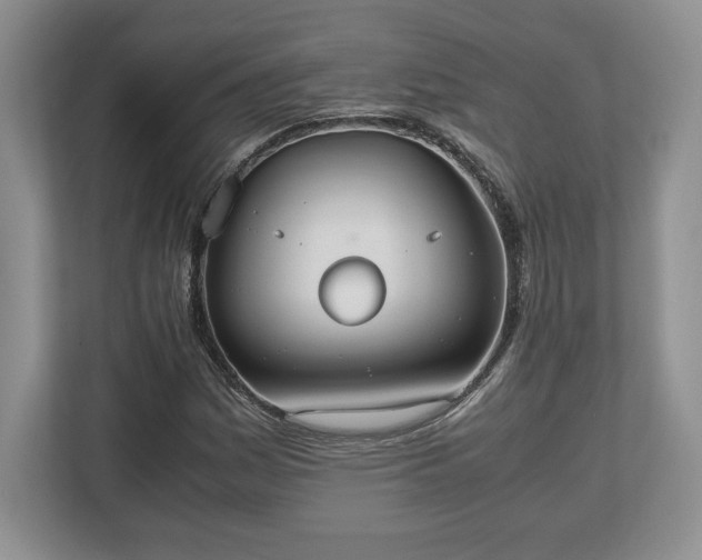 X0000112531161200908241501