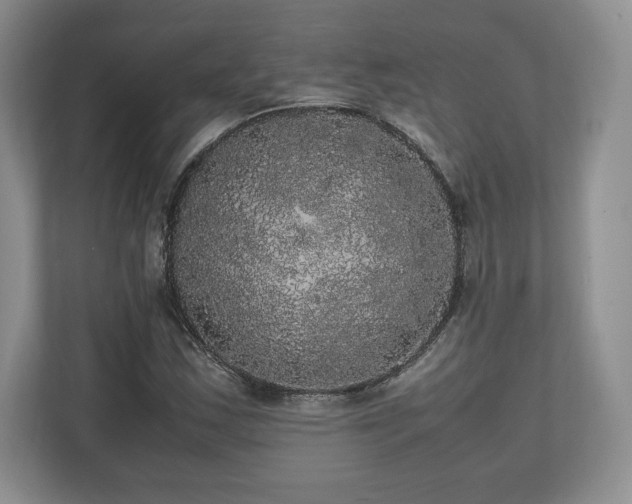X0000112531163200908241501