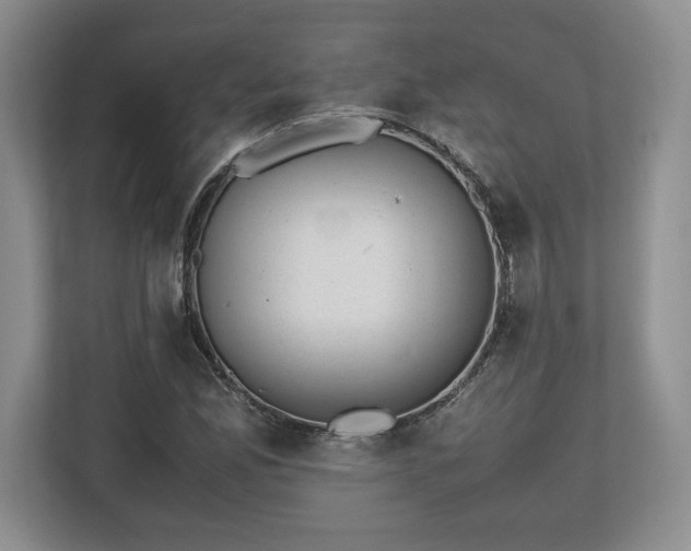 X0000112531165200908241501